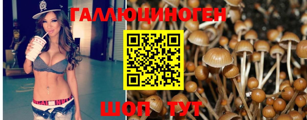 Галлюциногенные грибы мухоморы Орёл